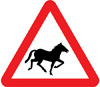 Wild horses or ponies likely to be in road ahead