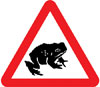 Migratory toad crossing ahead