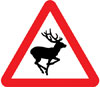 Wild animals likely to be in road ahead